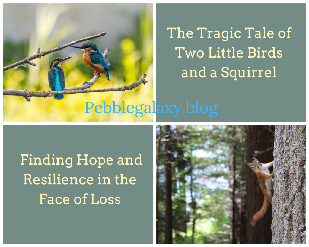 The Tragic Tale of Two Little Birds and a Squirrel: Finding Hope and Resilience in the Face of Loss